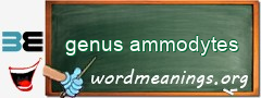 WordMeaning blackboard for genus ammodytes